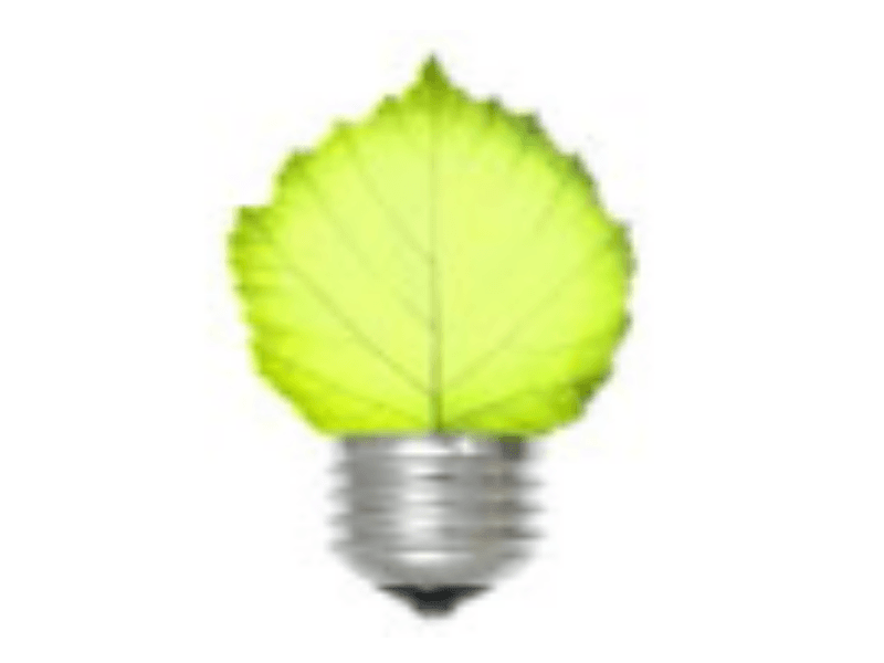Light Bulb with Leaf
