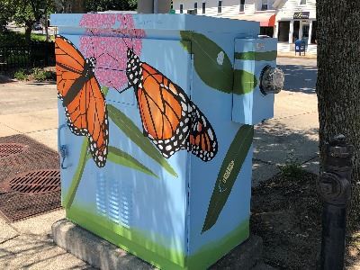 Utility box.art.wellesley hills