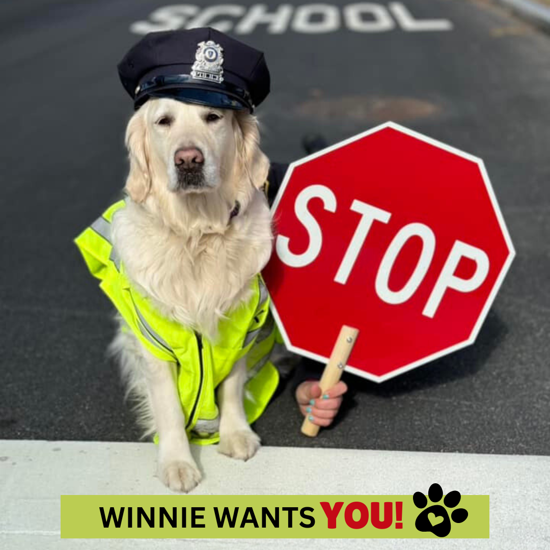 Crossing Guard_Winnie