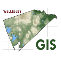 Wellesley GIS Logo