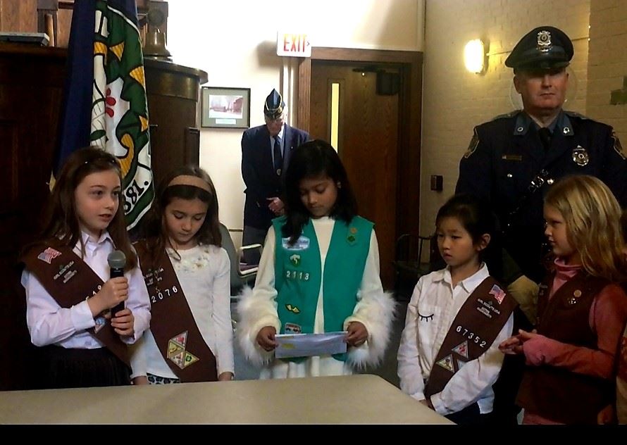 Brownies_veterans day