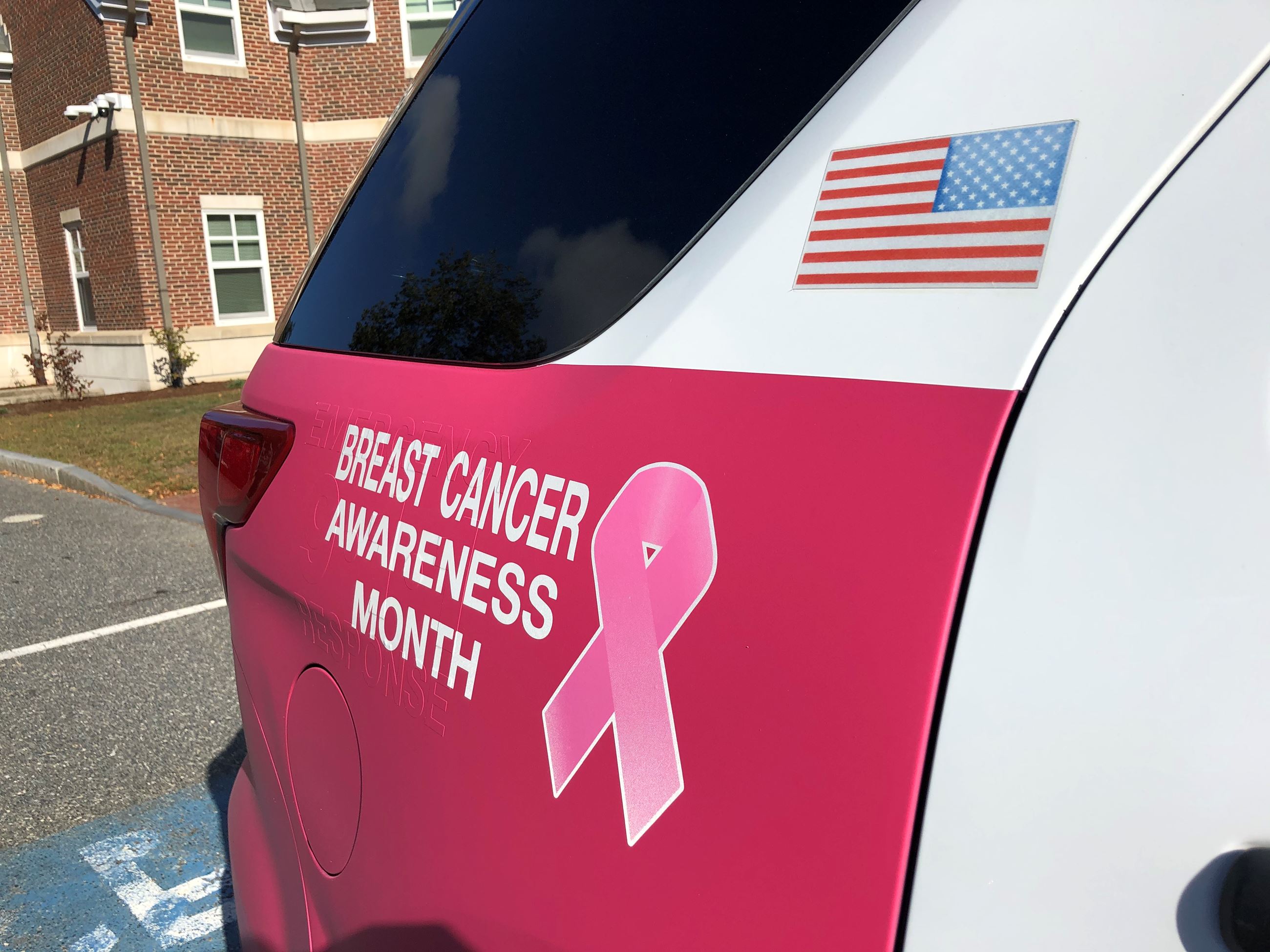 WPD Pink 1406 Cruiser