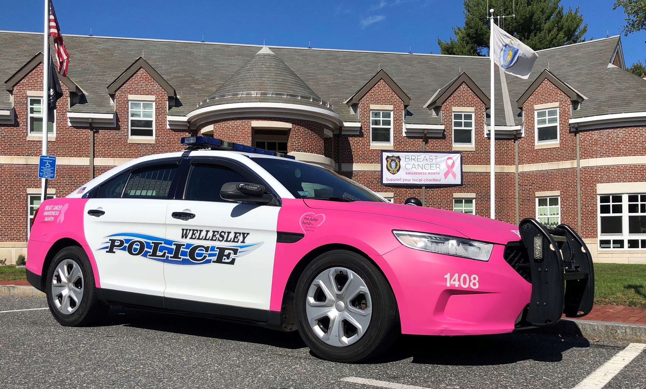 WPD 2021 Pink Cruiser