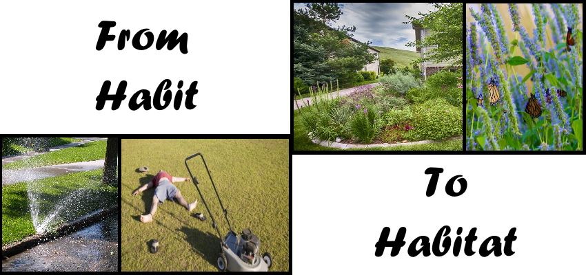 Habit to HabitatCorrect4