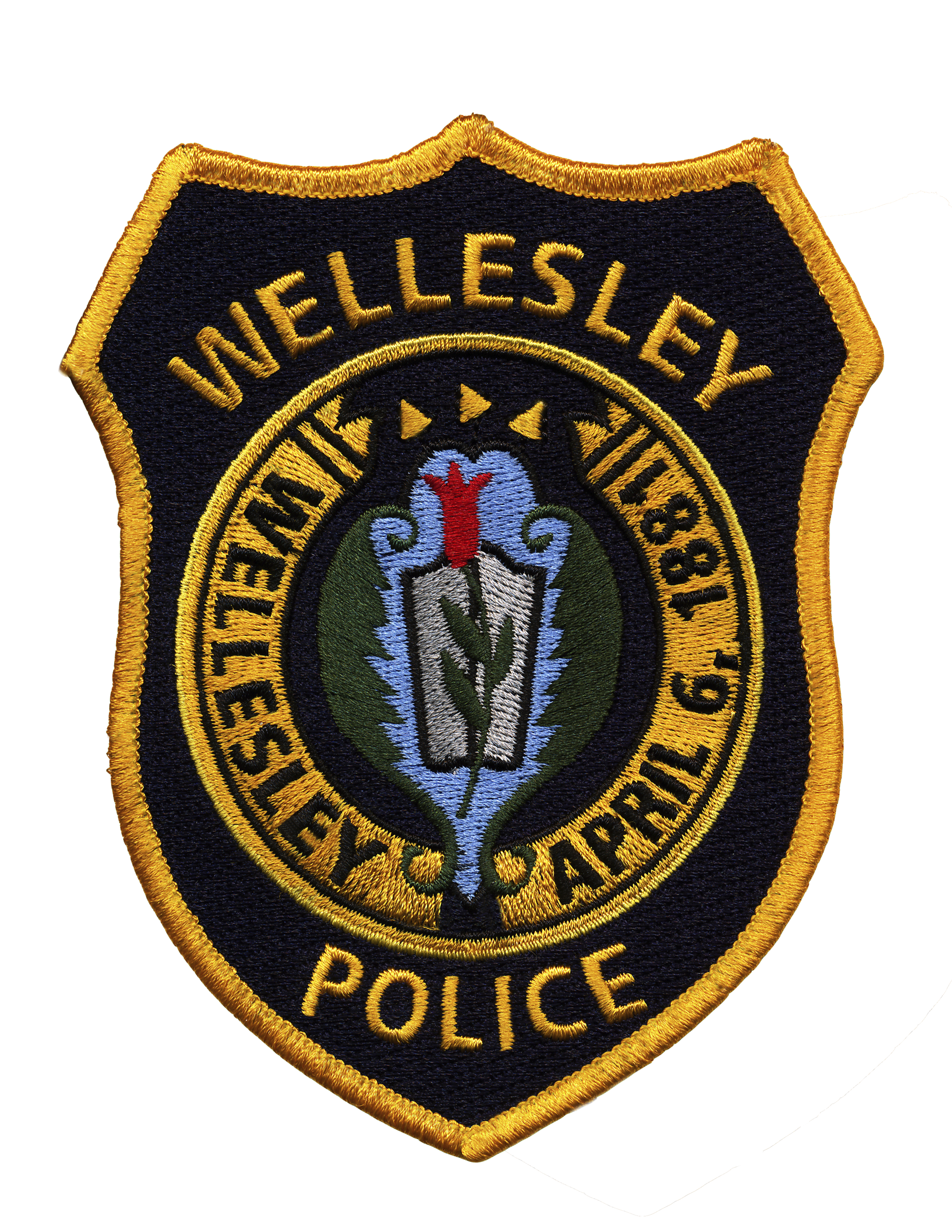 WPD Patch Transparent Background